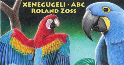 Papagei_KonzertZoss(2)
