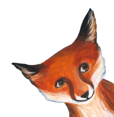 fuchs